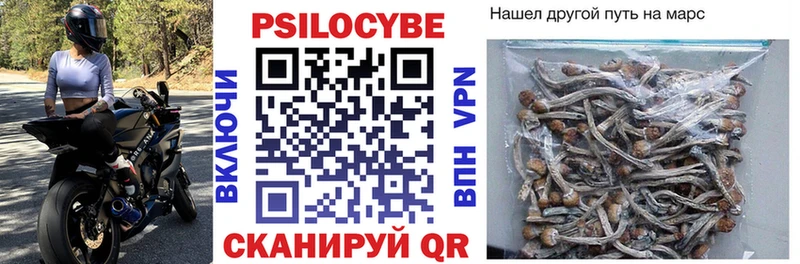 Псилоцибиновые грибы мицелий Казань
