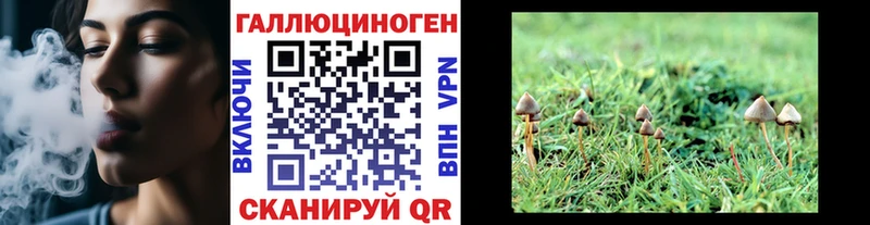 Галлюциногенные грибы прущие грибы  kraken ONION  Казань 
