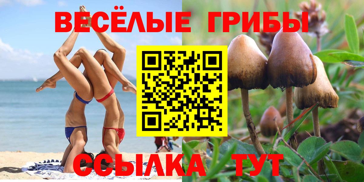 Галлюциногенные грибы ЛСД  Вход с VPN  дарнет шоп  Галлюциногенные грибы Magic Shrooms  Казань 